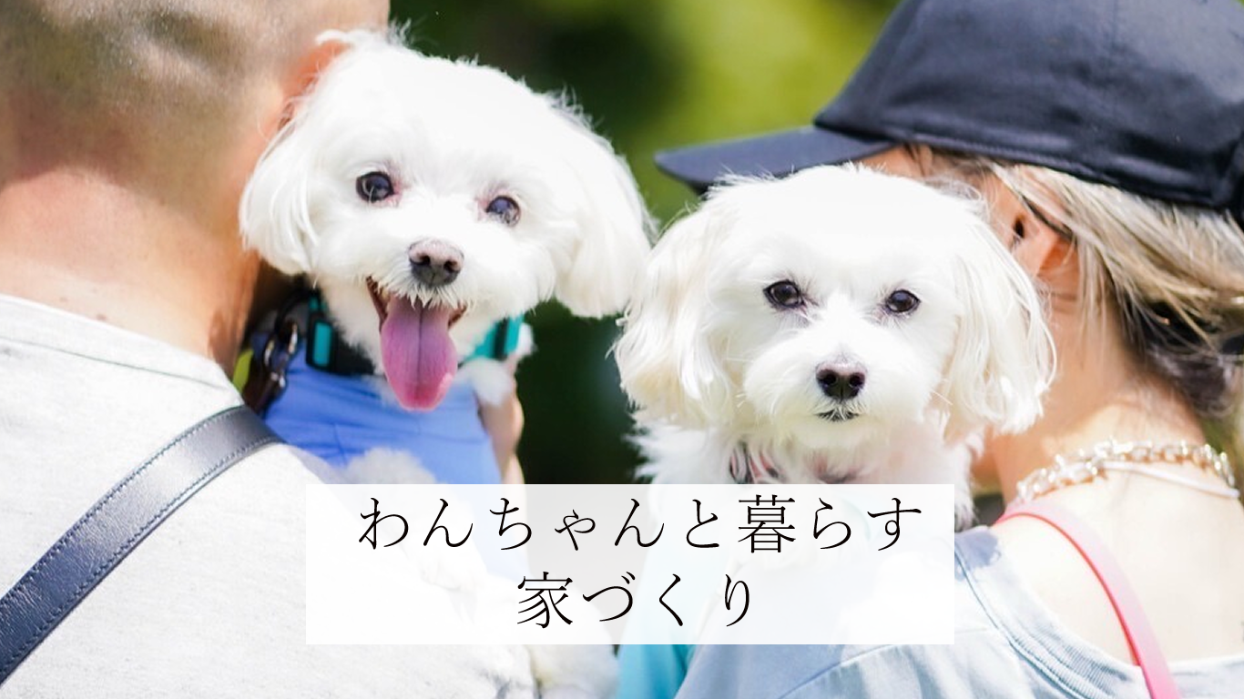 わんちゃんと暮らす家づくり