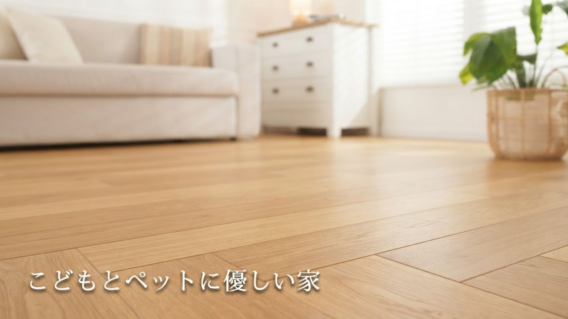 こどもとペットに優しい家