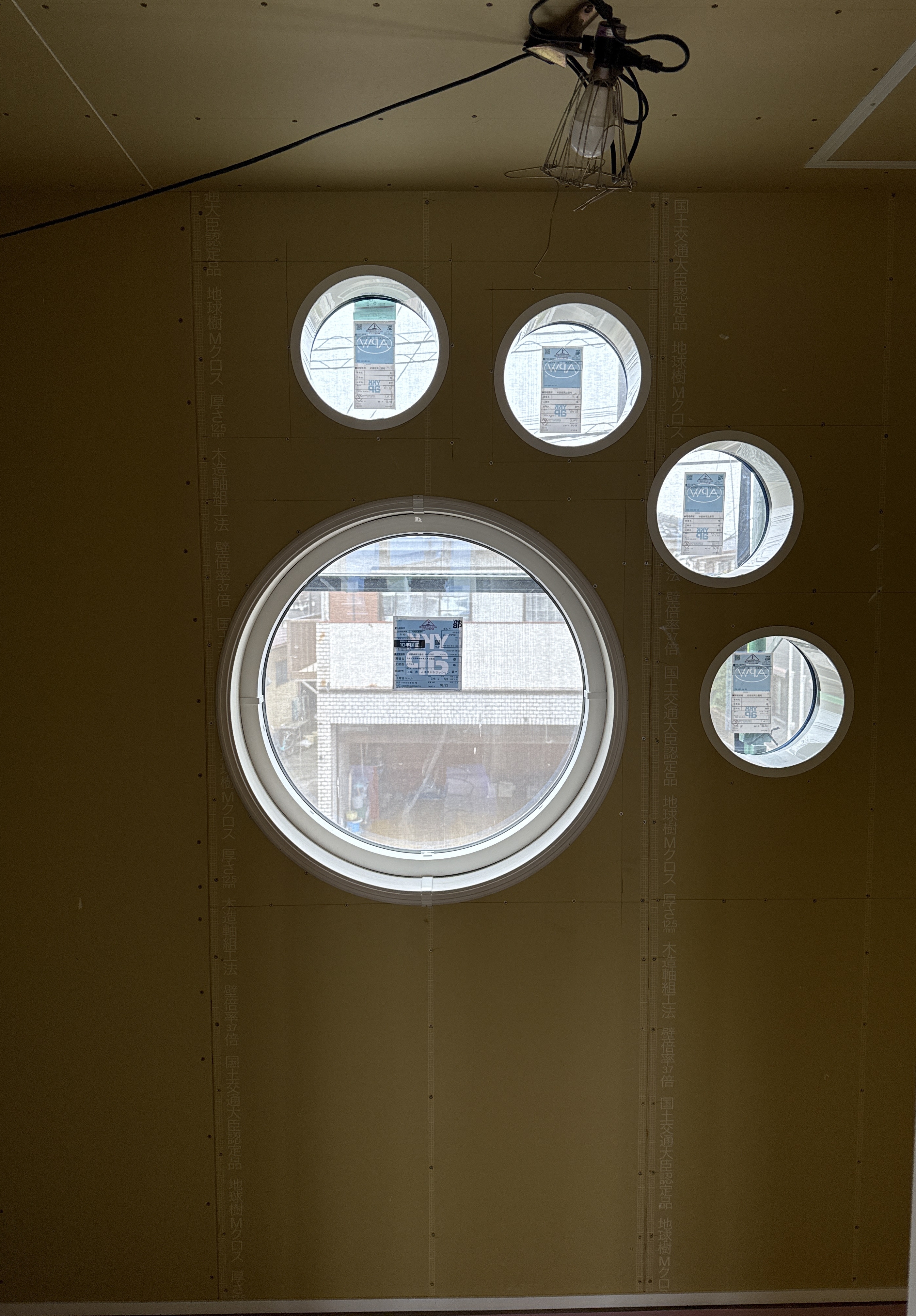 20251003-115058-2AFDC8A2.JPG
