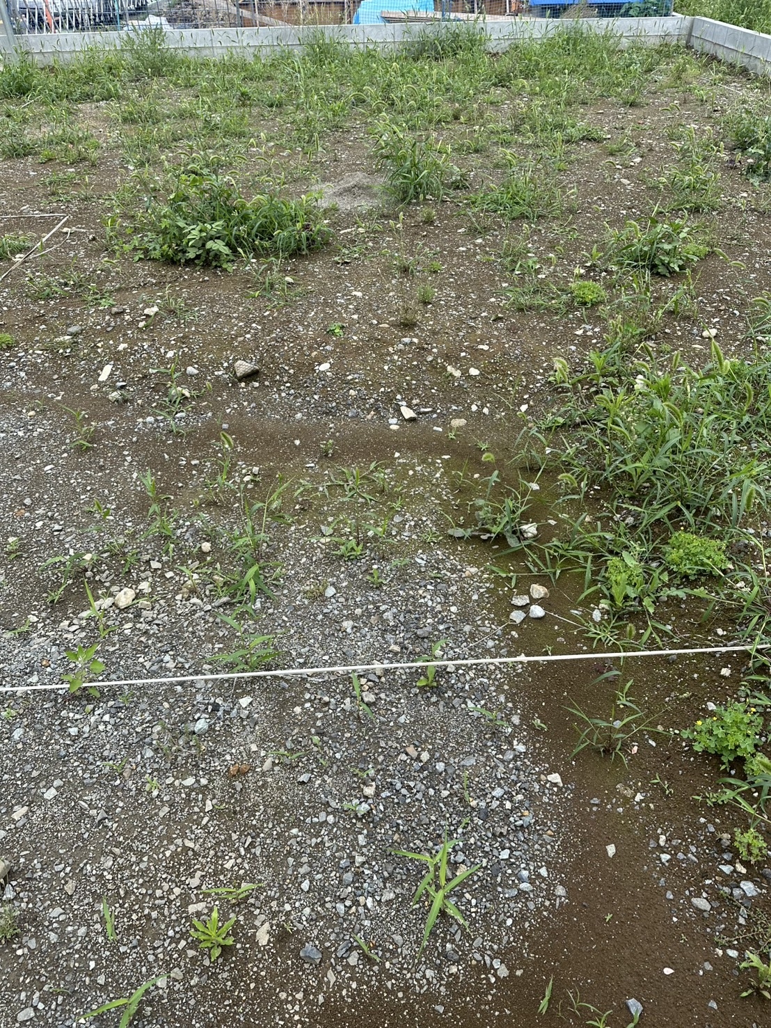 S__52248579_0.jpg